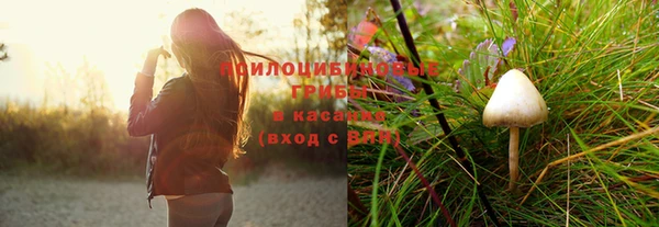 прущая мука Алексин