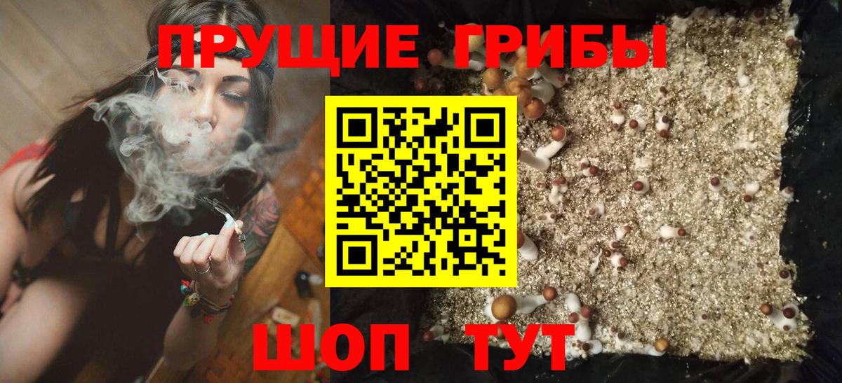 Галлюциногенные грибы Magic Shrooms  Вход с VPN  Керчь  Галлюциногенные грибы Psilocybe 